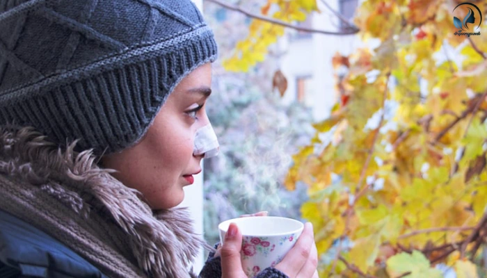 بهترین فصل برای جراحی بینی