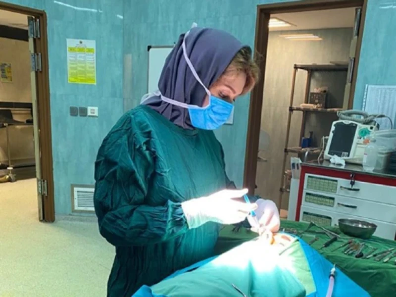 دکتر آرزو خوانساری‌نیا – بهترین جراح بینی نیمه فانتزی در تهران | جراح بینی به سبک پیشرفته