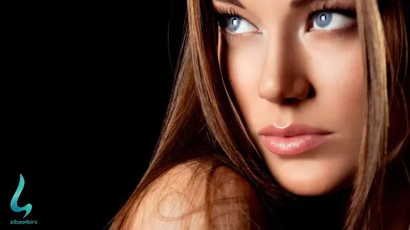 چه عواملی در انتخاب مدل بینی تأثیرگذارند؟