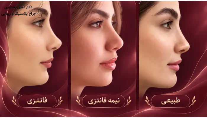 انتخاب مدل بینی